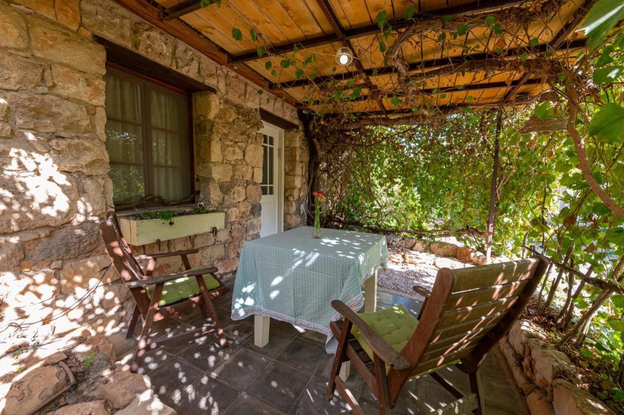 הוילה אילניה חמדתיה סוויטות בגליל מראה חיצוני תמונה