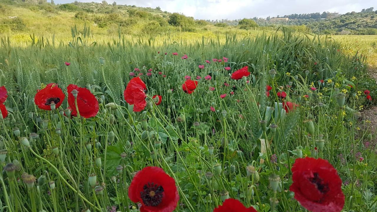 הוילה אילניה חמדתיה סוויטות בגליל מראה חיצוני תמונה